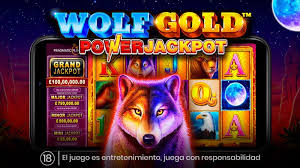 wolf gold casino 당신의 운을 시험해 보세요 wolf gold casino 당신의 운을 시험해 보세요