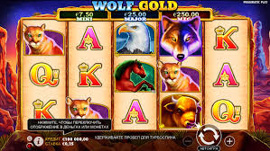 wolf gold casino 당신의 운을 시험해 보세요 wolf gold casino 당신의 운을 시험해 보세요